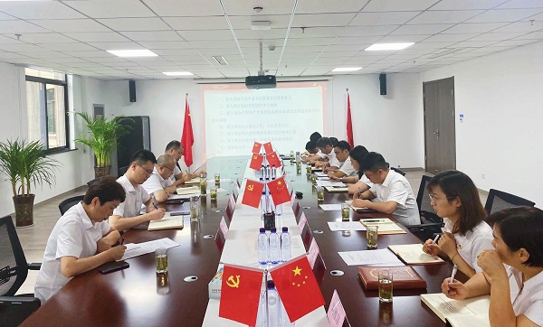 王晟督导徽盐地产霍邱项目支部专题组织生活会